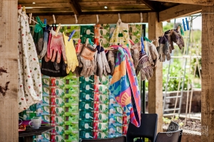 AMP-2013-06-08-2573-GetGrowingTrail