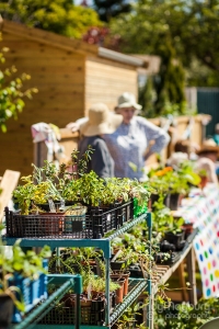 AMP-2013-06-08-2629-GetGrowingTrail