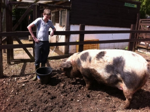 St Werburghs City Farm